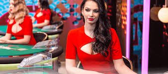 hero visual